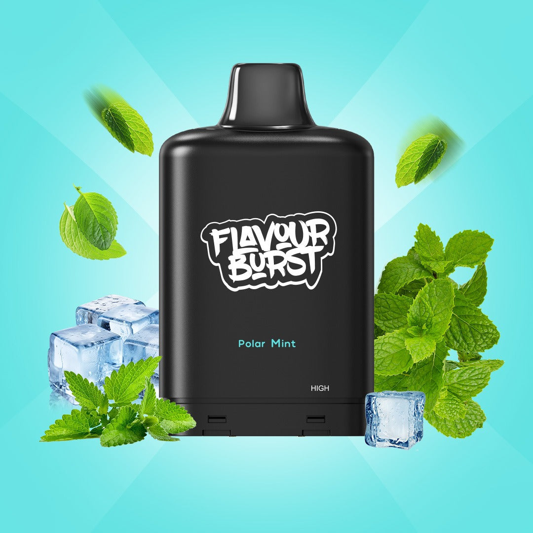BURST X PODS 40k (6/CTN) - CANADA